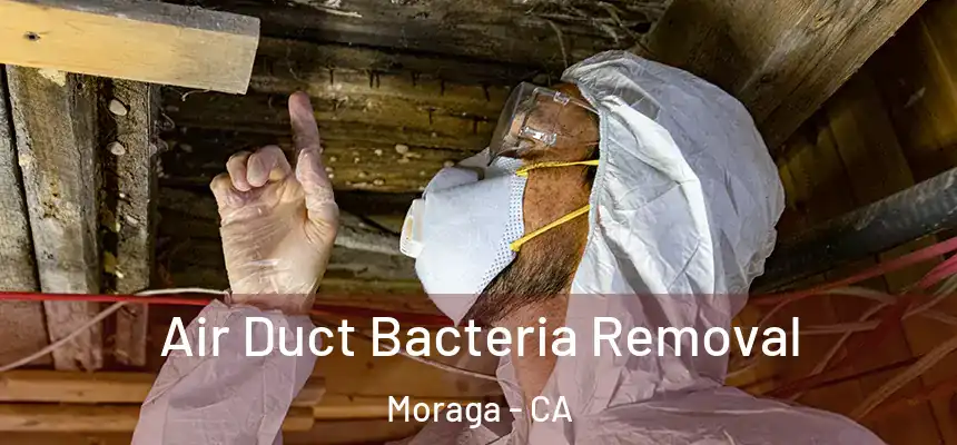 Air Duct Bacteria Removal Moraga - CA