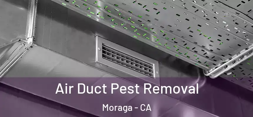 Air Duct Pest Removal Moraga - CA