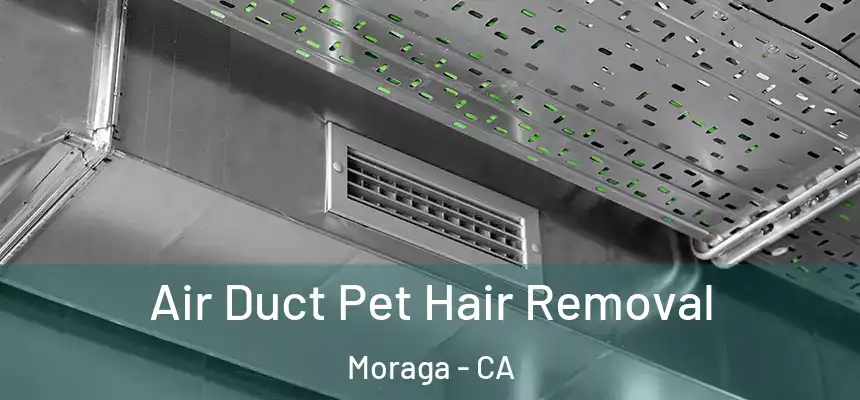  Air Duct Pet Hair Removal Moraga - CA