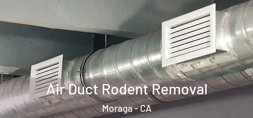 Air Duct Rodent Removal Moraga - CA