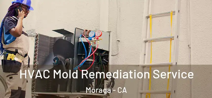 HVAC Mold Remediation Service Moraga - CA