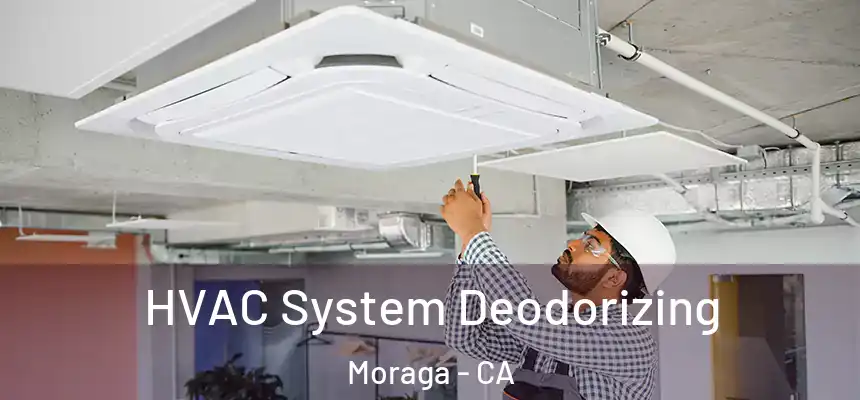 HVAC System Deodorizing Moraga - CA