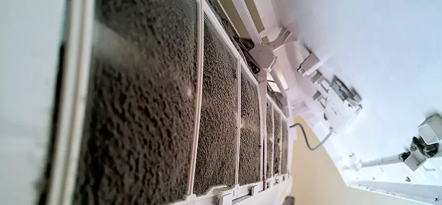 Preventive Air Duct Bacteria Removal in Moraga