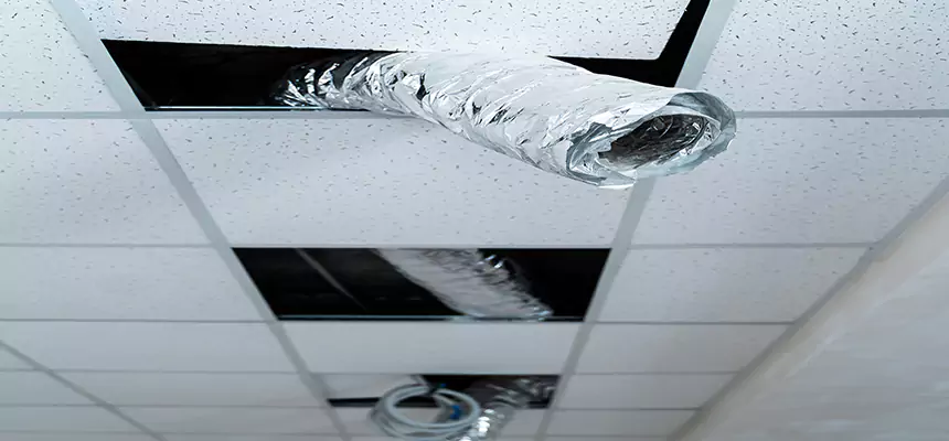 Our Air Duct Pet Hair Removal Services in Moraga, CA