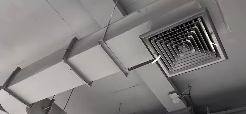 Restorative Allergy Relief Vent Cleaning – Coil, Blower & Housing Detail in Moraga