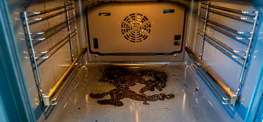 Our Dryer Vent Mold Cleaning Services in Moraga, CA