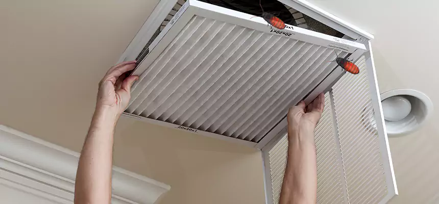 Our Insect Removal from Air Ducts Services in Moraga, CA