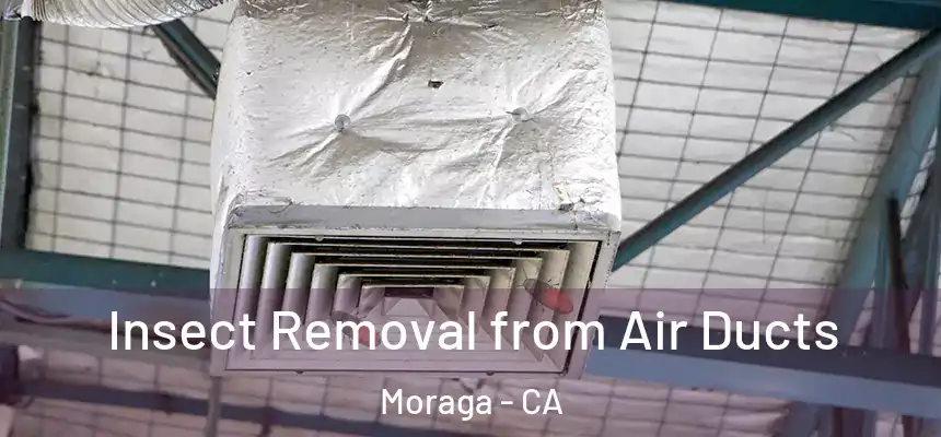 Insect Removal from Air Ducts Moraga - CA