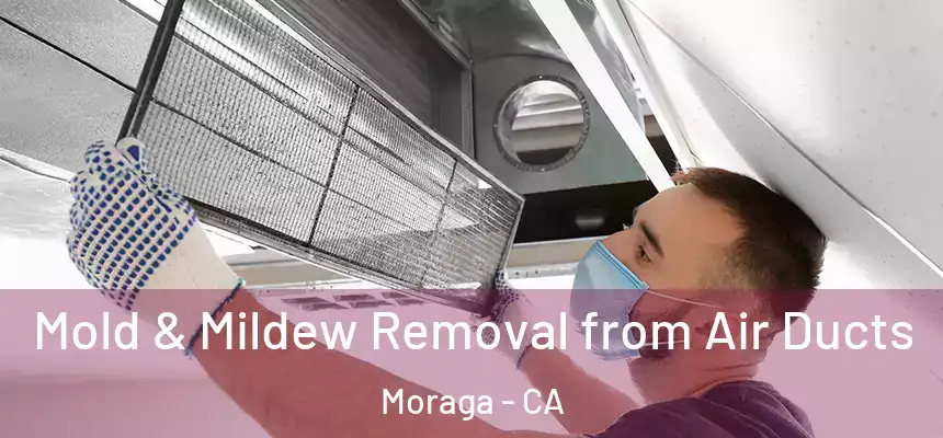 Mold & Mildew Removal from Air Ducts Moraga - CA