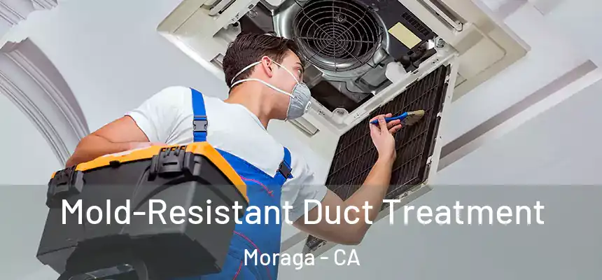 Mold-Resistant Duct Treatment Moraga - CA