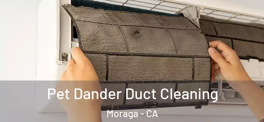 Pet Dander Duct Cleaning Moraga - CA