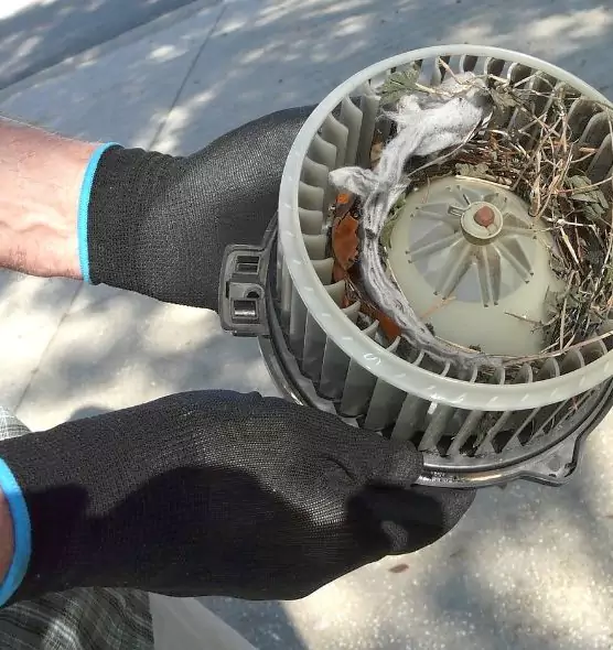 About Air Duct Rat Removal in Moraga, CA