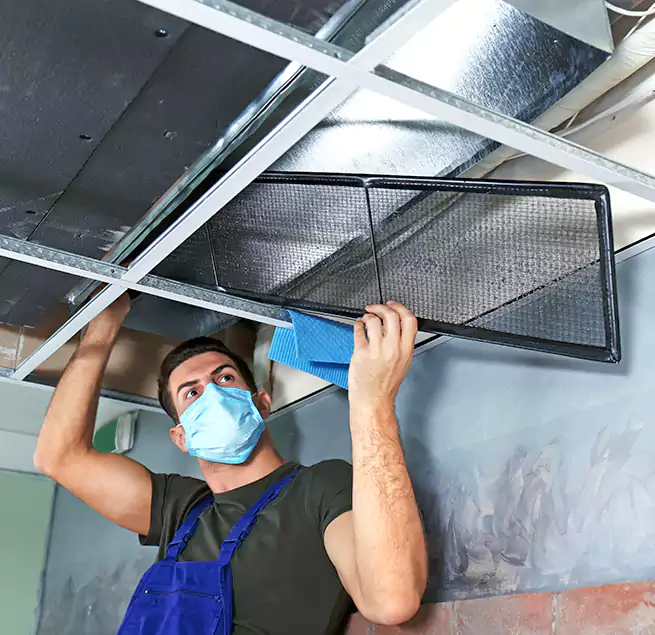 Why Homeowners Businesses Trust Us in Moraga, CA