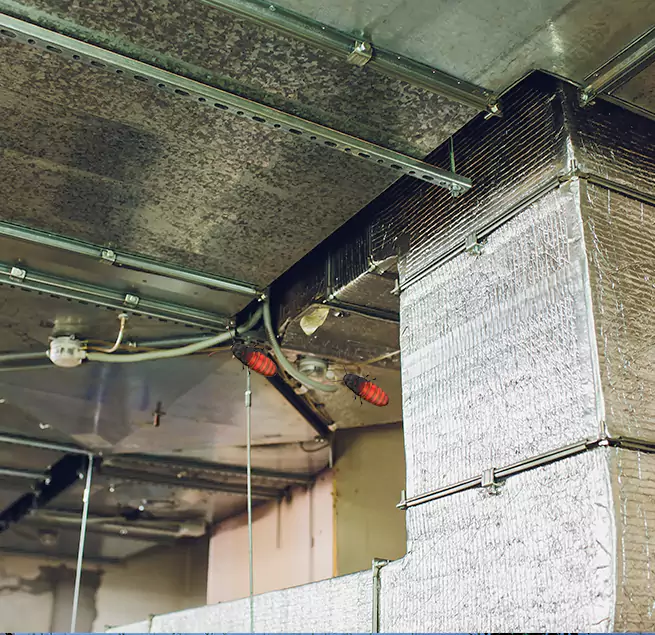 Why Homeowners & Businesses Trust Us Moraga, CA?